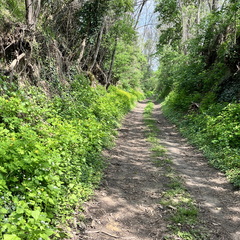 22-05-02 13-11-27 0722